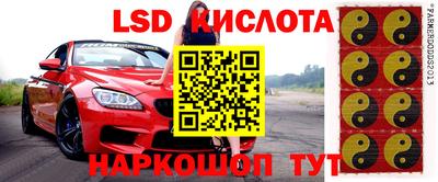 apvp Бердск