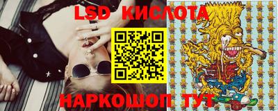 apvp Бердск