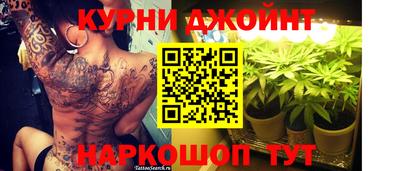 стаф Белореченск