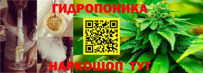 apvp Бердск