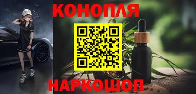 apvp Бердск