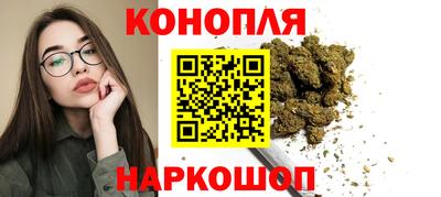 apvp Бердск