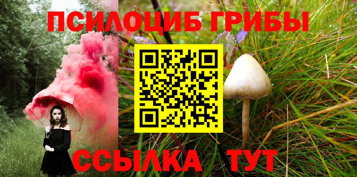 Касимов  Галлюциногенные грибы Magic Shrooms  Вход с VPN 
