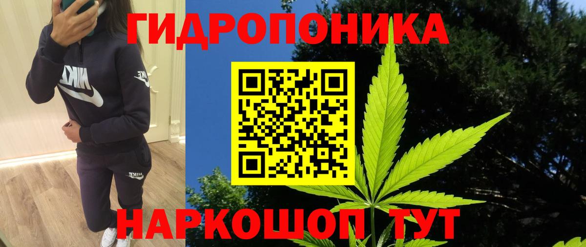 Бошки марихуана план  Конопля OG Kush  Вход с VPN  Касимов  Марихуана THC 21% 